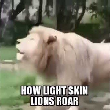 Radiant Rumbles: The Ethereal Roar of Light-Skinned Lions
