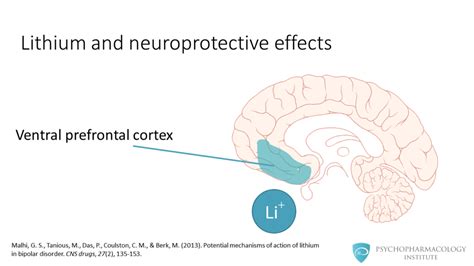 How Lithium Works in the Brain