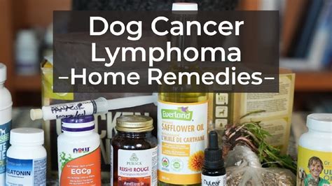 How Long Can Dog Live With Lymphoma