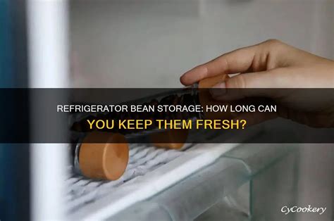 How Long Can You Keep Them In