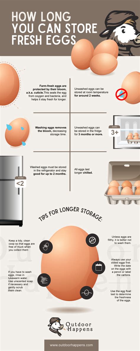 How Long Do Fresh Eggs Last Chart