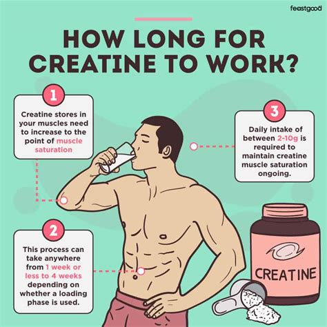 How Long Does It Take For Creatine To Work