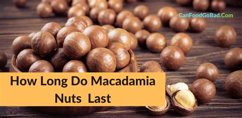How Long Do Macadamia Nuts Last? Can They Go Bad? - Gluten Free Club
