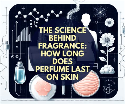 The Lingering Scent of Memories: How Long Does Perfume Last on Your Skin?