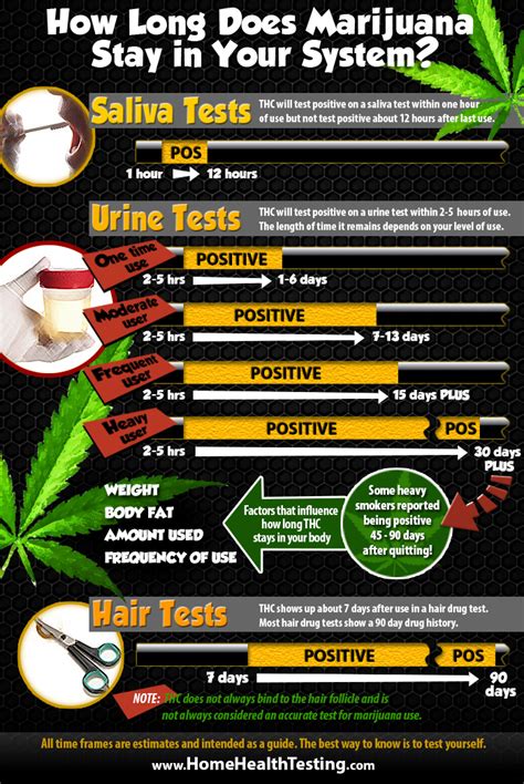 How Long Does THC Stay in Your System?