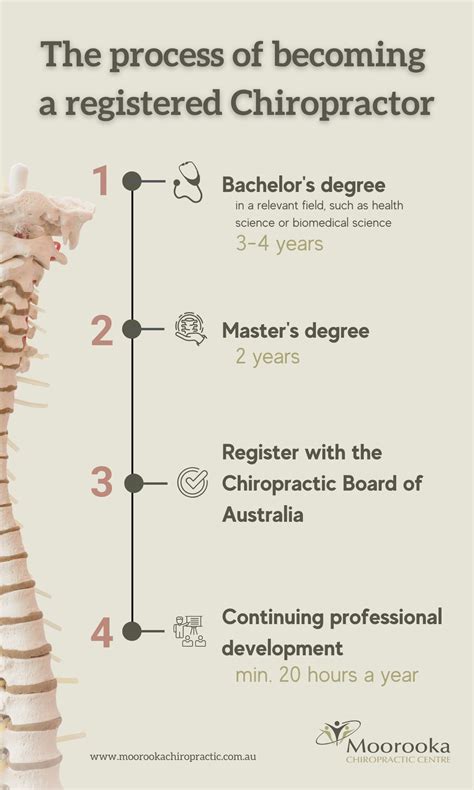 How Long Does it Take to Become a Chiropractor