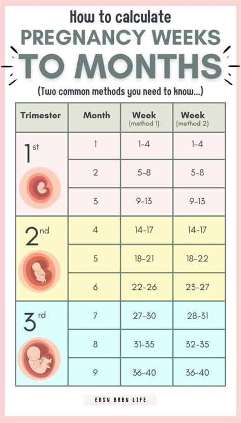 Decode the Conversion: Unraveling the Mystery of How Many Months Are in 22 Weeks