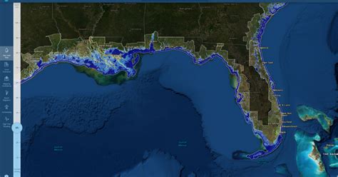 Image of a sea level map