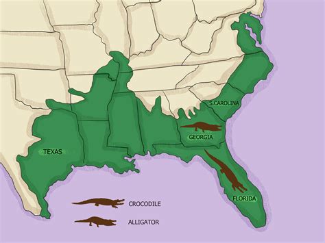 Map of alligators in the US