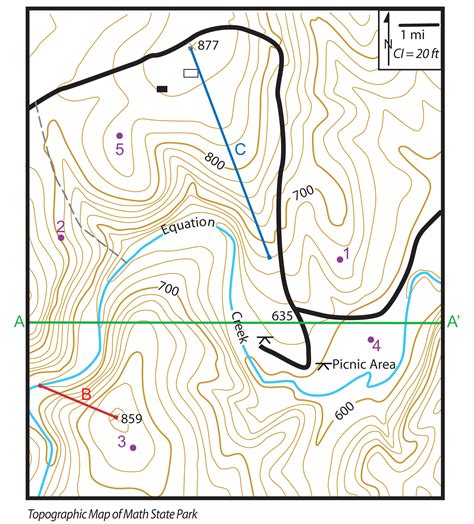 Topographic Map With Contour Lines