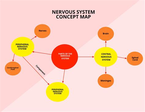 Concept Map