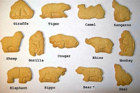 Discovering the Variety: How Many Animal Cracker Shapes Exist in the Market?
