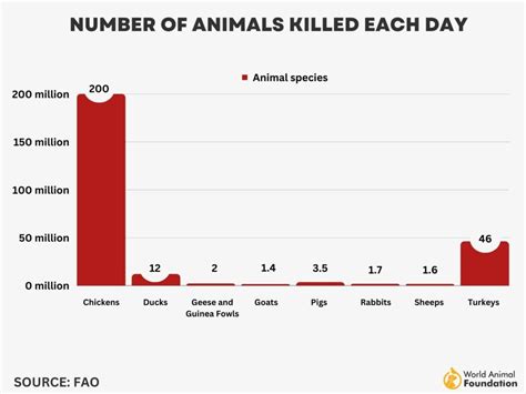 How Many Animals Are Killed Each Day Because Of Farming