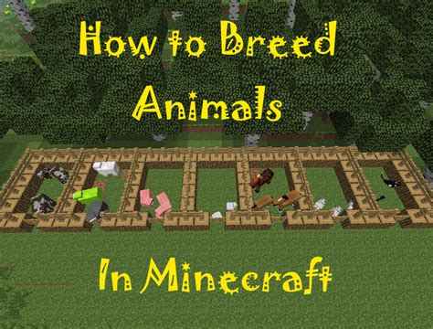 How Many Animals Can You Farm In Minecraft