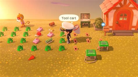 Discover the Number of Dropped Items in Animal Crossing: A Comprehensive Guide