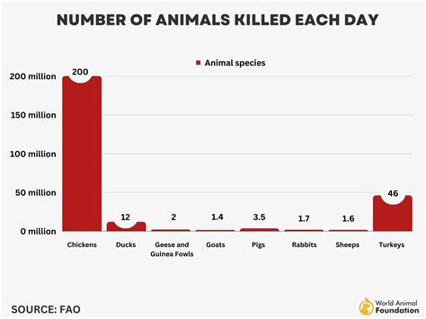 How Many Farm Animals Die A Year