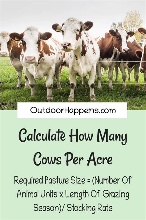 How Many Farm Animals Per Acre
