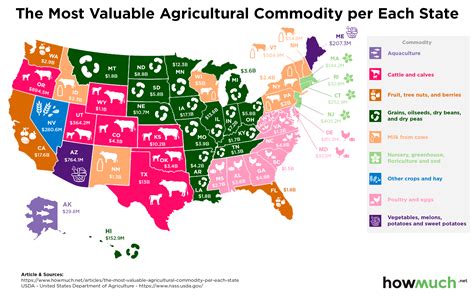 How Many Key Farming States Are There In Usa