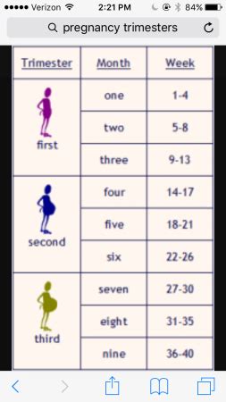 Calculating Time: Converting 17 Weeks into Months