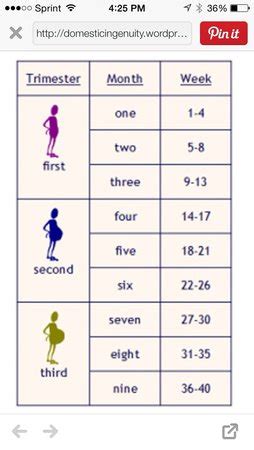 Calculating Time: Discovering How Many Months in 34 Weeks