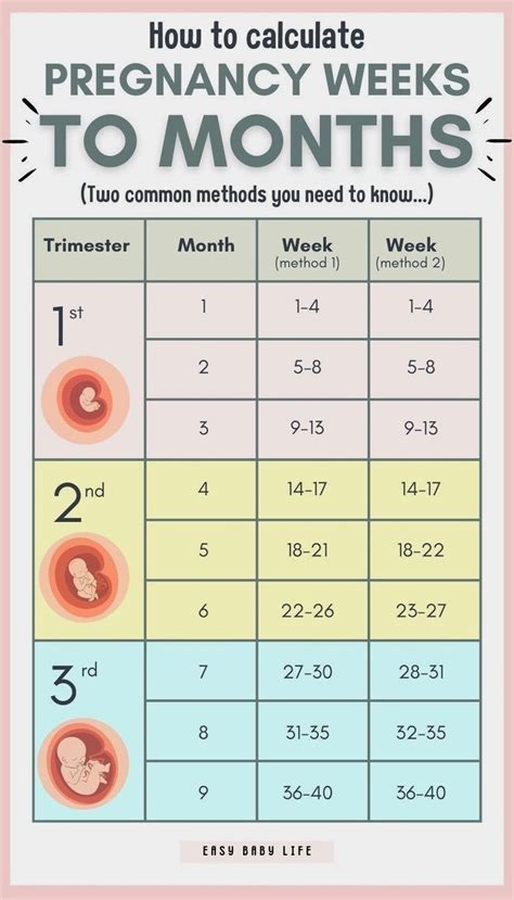 Calculating Time: Discovering How Many Months 23 Weeks Equals