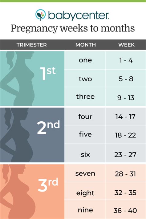 Countdown to Motherhood: Decoding the '28 Weeks Pregnant Chart' Reveals the Precise Duration of Your Maternal Joy!