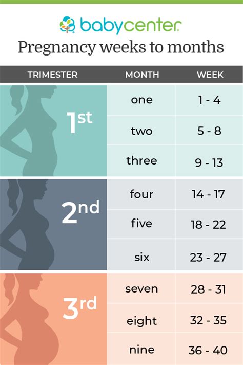 The Countdown Continues: Unveiling How Many Lunar Cycles It Takes to Reach 29 Weeks of Pregnancy