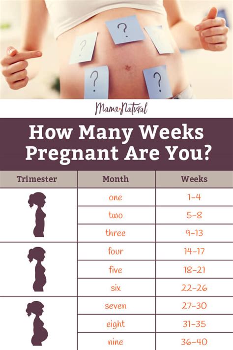 Calculating Time: How Many Months Does 7 Weeks Equal?