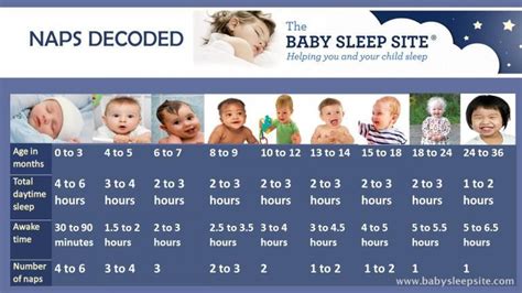 Here are three options for SEO titles about the recommended number of naps for a 5 month old:1. Catching some Z's: How Many Naps Should Your 5 Month Old Be Taking?2. The Perfect Power Nap: A Guide to Determining How Many Naps Your 5 Month Old Needs3. Sleep Like a Baby: The Magic Number of Naps for Your 5 Month Old