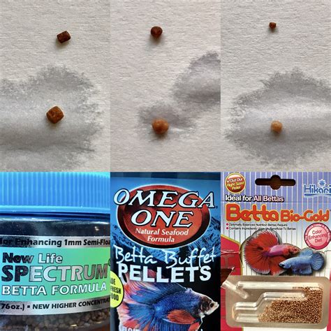 How Many Pellets Should I Feed My Betta