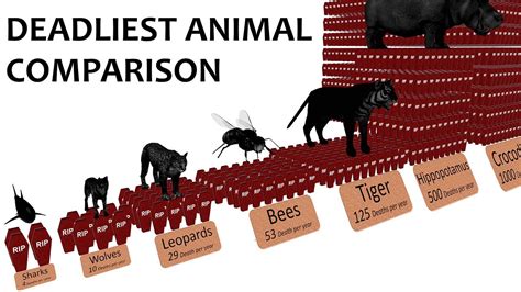 How Many Small Animals Die From Farming