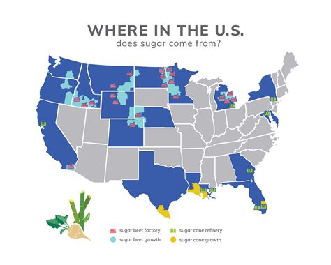 How Many States Have Sugar Beet Farms