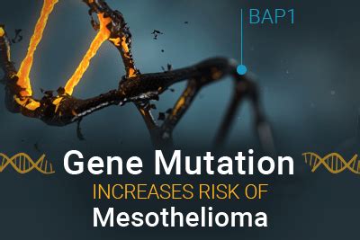 How Mesothelioma Genetic Testing Works