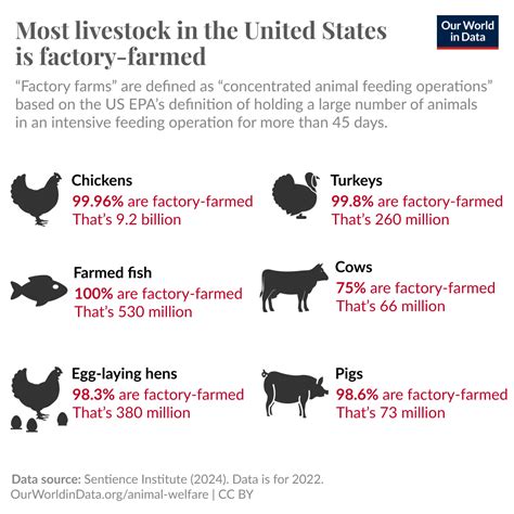 How Much Animals Are Factory Farmed Percentage