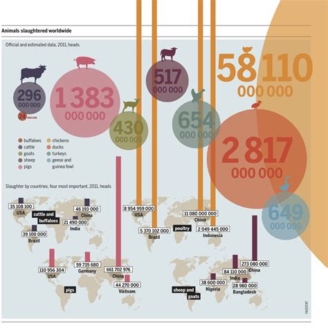 How Much Animals Are Factory Farmed Percentage