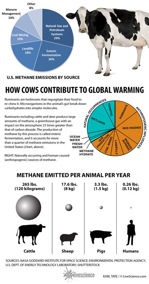 How Much Do Farm Animals Impact Global Warming