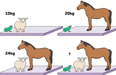 How Much Do Farm Animals Weigh