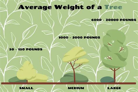 How Much Does A Tree Weight