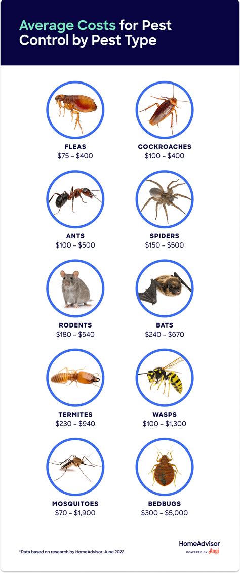 Exterminator Cost