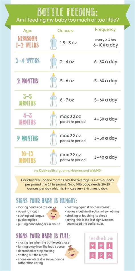 Formula-ting the Perfect Amount: Unlocking the Mystery of How Much Formula for Your 3-Month-Old