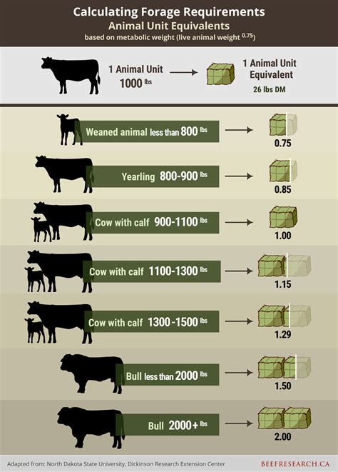 How Much Land Is Required For Organic Animal Farms