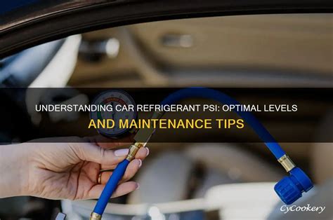 How Much Refrigerant In A Car