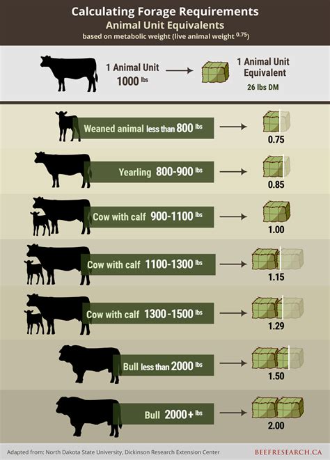 How Much Space Do Farm Animals Get In California