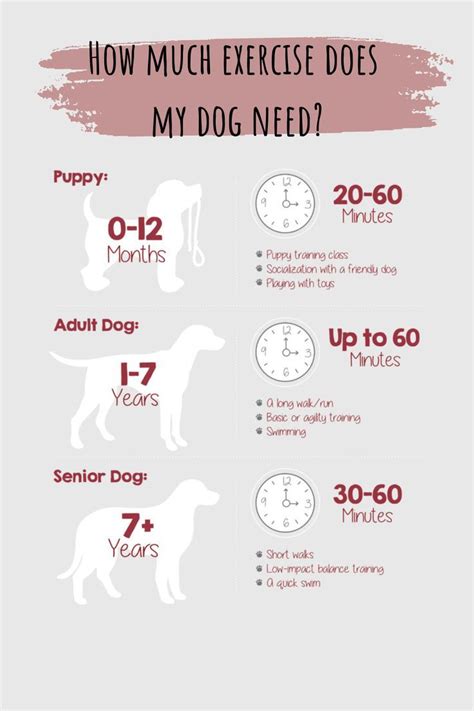 How Much To Care For A Dog