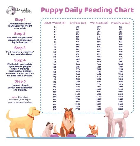 How Much To Feed A Dog Chart
