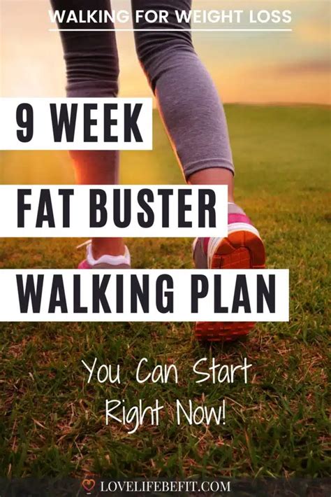 How Much Walking To Lose Weight Calculator