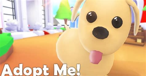 How My Family Became Obsessed With Adopt Me And Roblox 