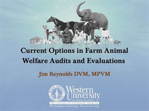 How Often Do Farms Get An Animal Welfare Audit