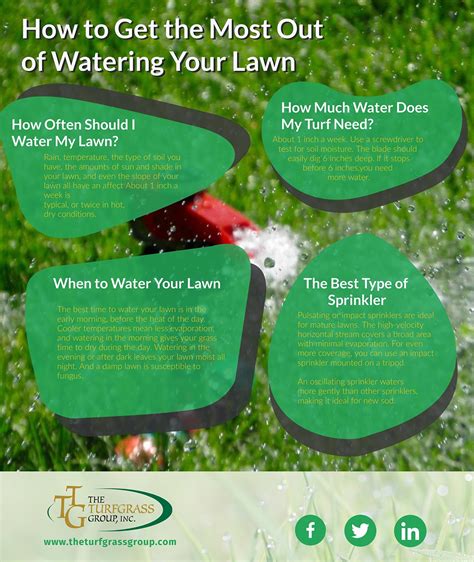 How Often Should You Water Your Lawn?