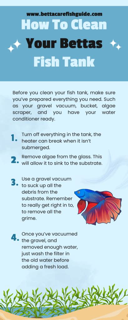 How Often To Clean Betta Tank